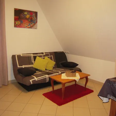Bel De Charme De 70 M2 * Thannenkirch
