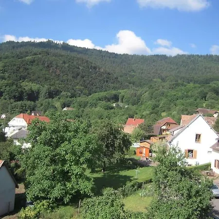 Bel De Charme De 70 M2 Thannenkirch